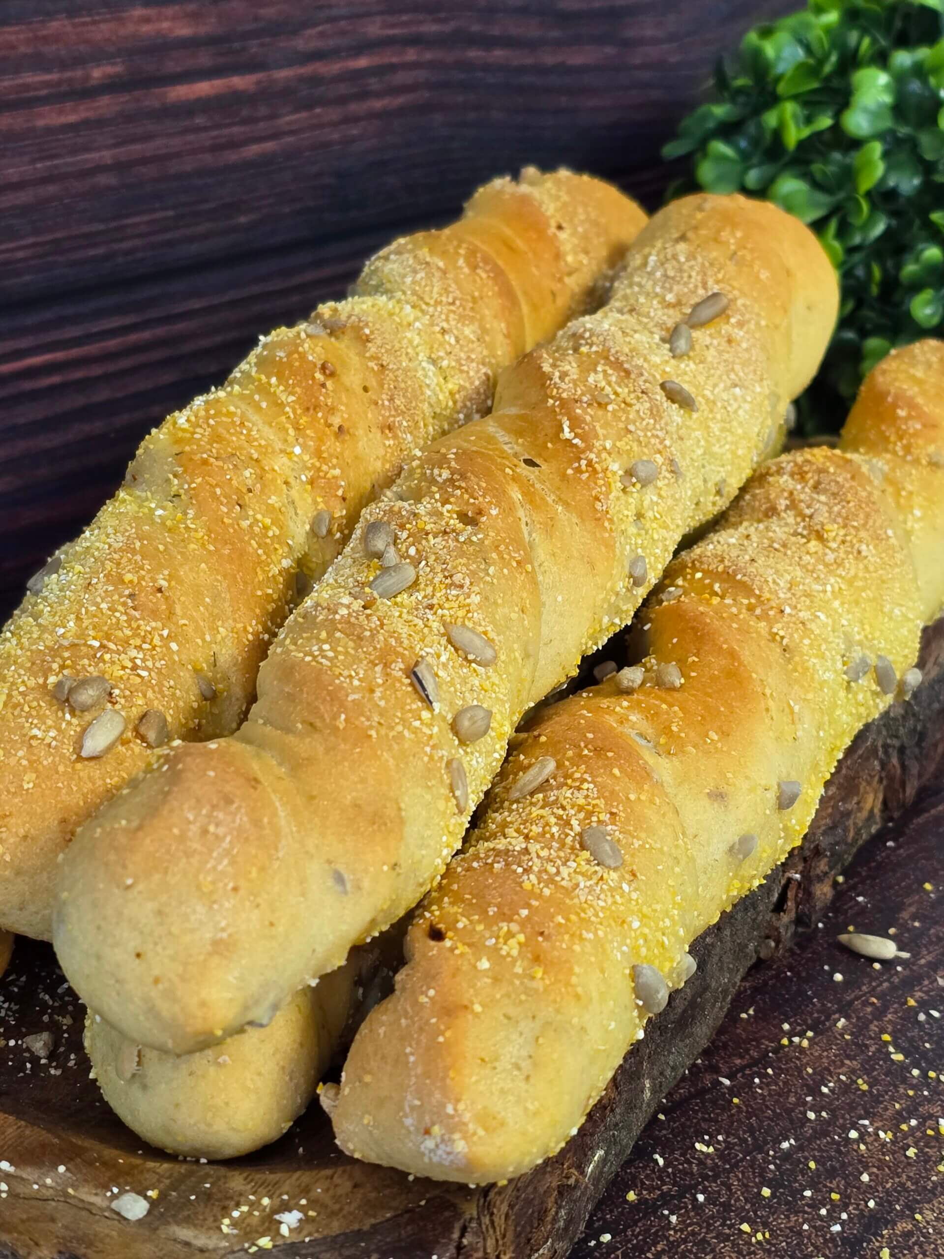 20250831_133332 20250831 133332 scaled